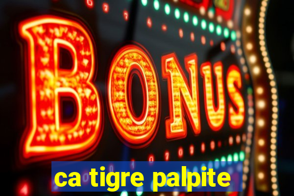 ca tigre palpite